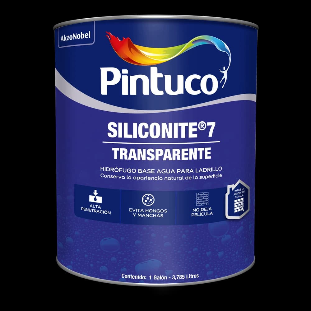 Siliconite Transparente 7 años 3103